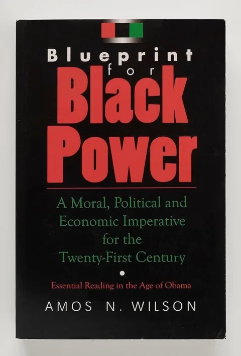 Couverture de Blueprint for Black Power