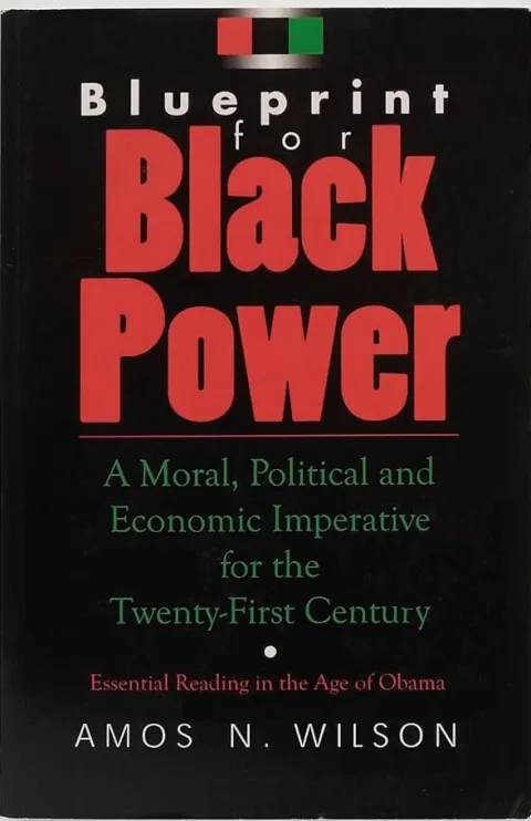 Couverture de Blueprint for Black Power